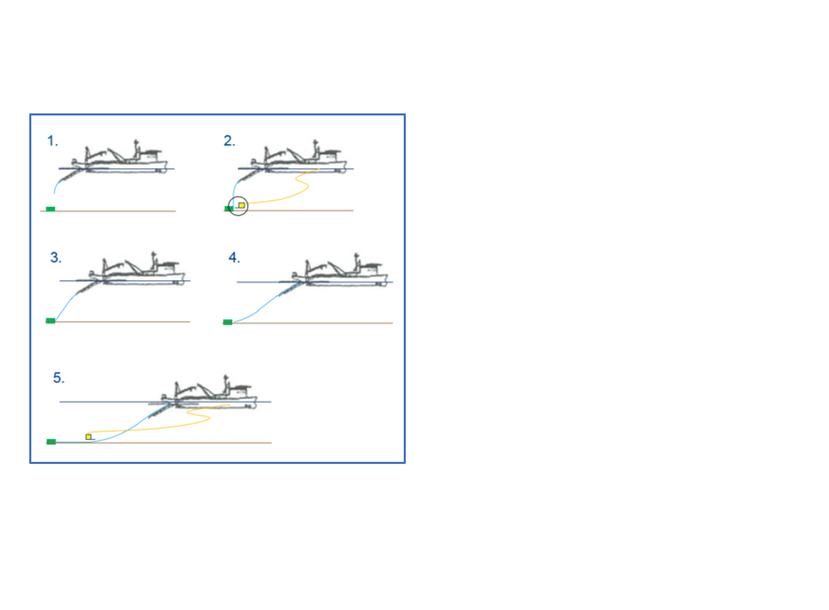 Startup_sequence_combined8